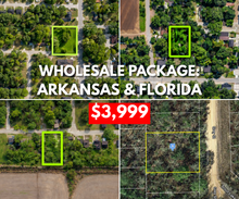 Load image into Gallery viewer, 4 Lot Wholesale Package AR & FL