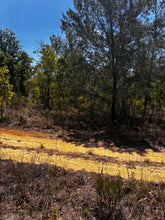 Load image into Gallery viewer, 0.11 Acre for Sale in Putnam County Florida