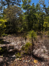 Load image into Gallery viewer, 0.20 Acres in Putnam County, Florida