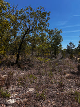 Load image into Gallery viewer, 0.11 Acre for Sale in Putnam County Florida