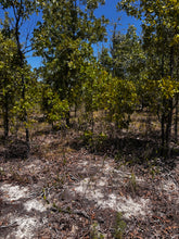 Load image into Gallery viewer, 0.11 Acre for Sale in Putnam County Florida