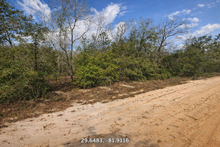 Load image into Gallery viewer, 0.20 Acres in Putnam County, Florida