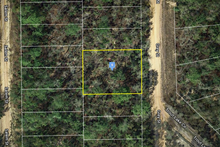 Load image into Gallery viewer, 0.20 Acres in Putnam County, Florida
