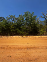 Load image into Gallery viewer, 0.20 Acres in Putnam County, Florida