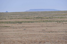 Load image into Gallery viewer, 2.65 Acres in Navajo County, Arizona