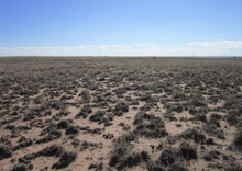 Load image into Gallery viewer, 2.65 Acres in Navajo County, Arizona