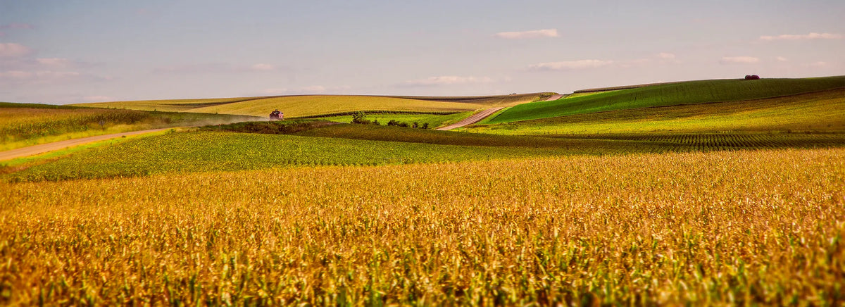 All Properties – Discount Land Investing