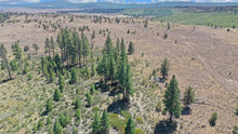 Load image into Gallery viewer, 1.61 Acres in Klamath County Oregon
