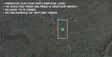 Load image into Gallery viewer, 5 Acres in Volusia County Florida
