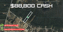 Load image into Gallery viewer, 5 Acres in Clay County Florida
