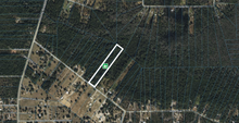Load image into Gallery viewer, 5 Acres in Clay County Florida
