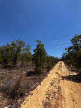 Load image into Gallery viewer, 0.11 Acre for Sale in Putnam County Florida
