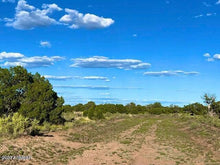 Load image into Gallery viewer, 40.32 Acres in Apache County Arizona
