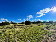 Load image into Gallery viewer, 40.32 Acres in Apache County Arizona
