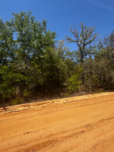 Load image into Gallery viewer, 0.20 Acres in Putnam County, Florida
