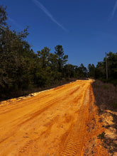 Load image into Gallery viewer, 0.20 Acres in Putnam County, Florida
