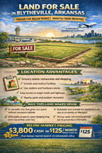 Load image into Gallery viewer, 0.39 Acres in Mississippi County, Arkansas
