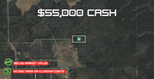 Load image into Gallery viewer, 5 Acres in Volusia County Florida
