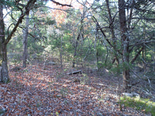Load image into Gallery viewer, 10.33 Acres in Baxter County, Arkansas
