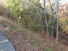 Load image into Gallery viewer, 10.33 Acres in Baxter County, Arkansas
