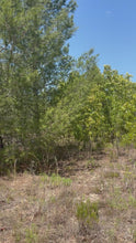 Load and play video in Gallery viewer, 0.11 Acre for Sale in Putnam County Florida
